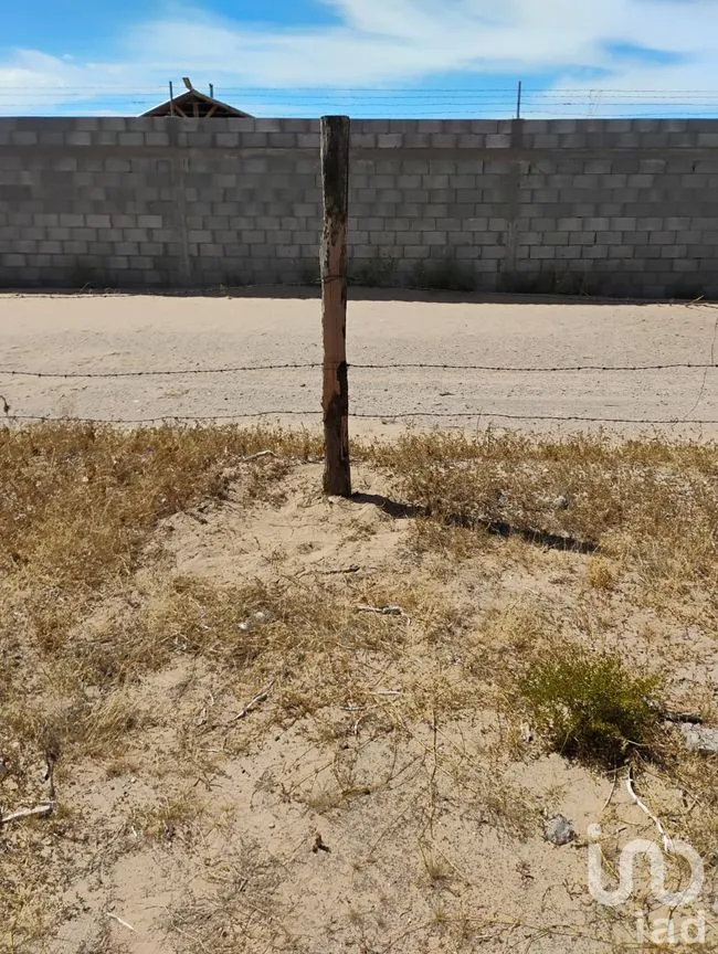 Terreno en Venta en Samalayuca, Juárez, Chihuahua | NEX-291319 | iad México | Foto 8 de 9