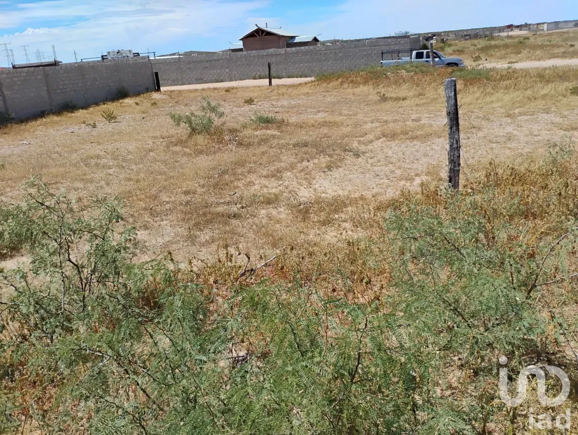 Terreno en Venta en Samalayuca, Juárez, Chihuahua | NEX-291319 | iad México | Foto 1 de 9