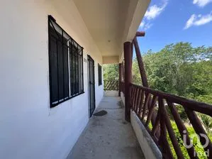 NEX-305995 - Departamento en Renta, con 2 recamaras, con 1 baño, con 50 m2 de construcción.
