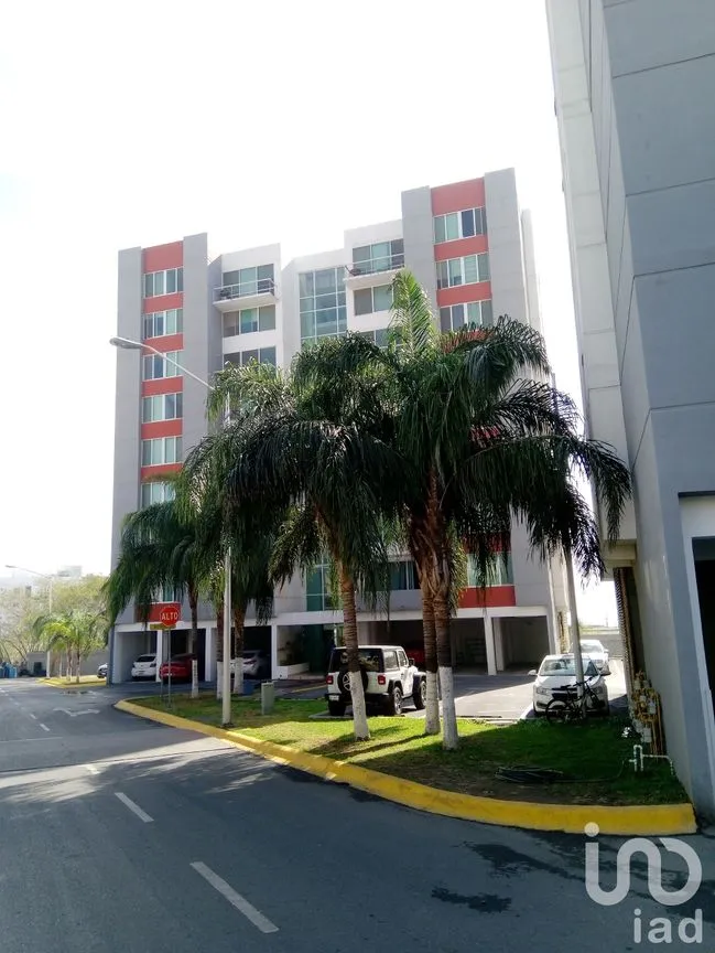 Departamento en Renta en Del Maestro, Monterrey, Nuevo León | NEX-40511 | iad México | Foto 1 de 15