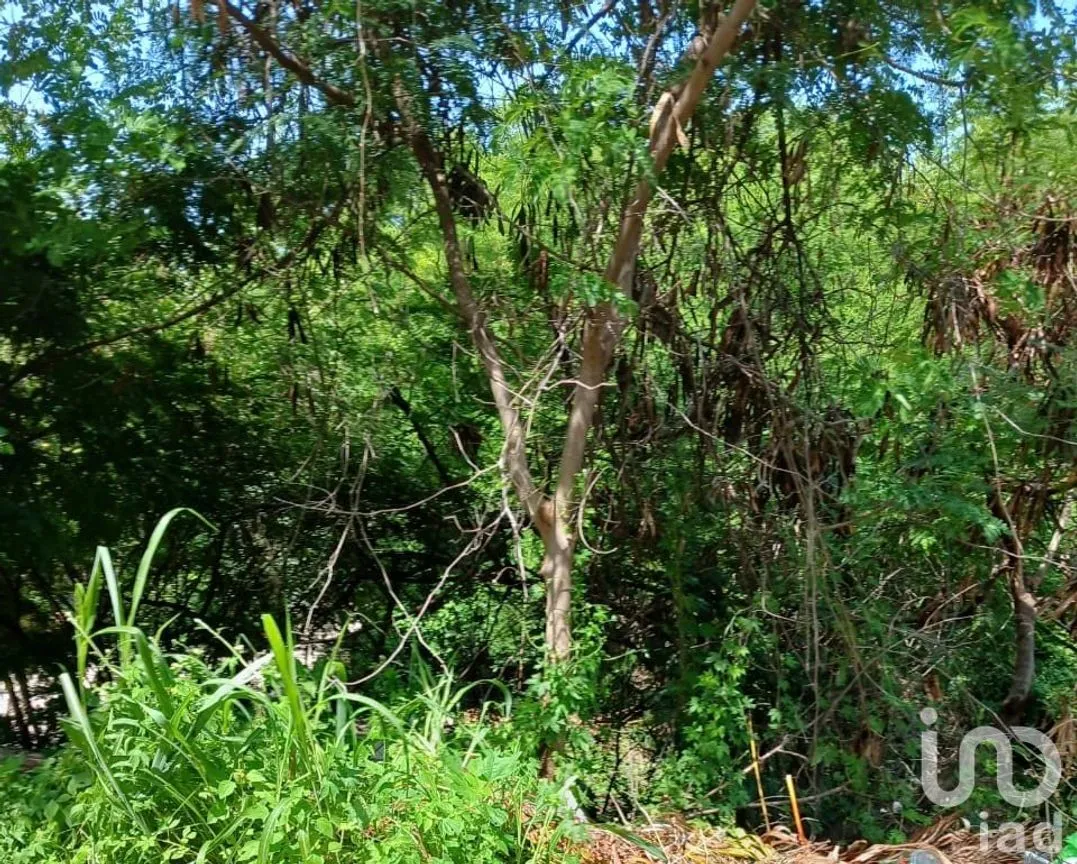 Terreno en Venta en Villas Condesa, Acapulco de Juárez, Guerrero | NEX-178369 | iad México | Foto 4 de 4