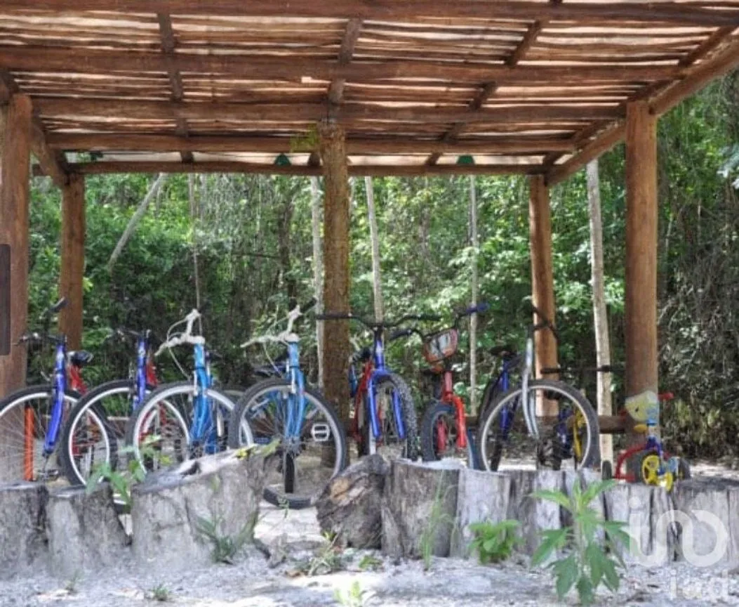 Terreno en Venta en Puerto Morelos, Puerto Morelos, Quintana Roo | NEX-181663 | iad México | Foto 2 de 13