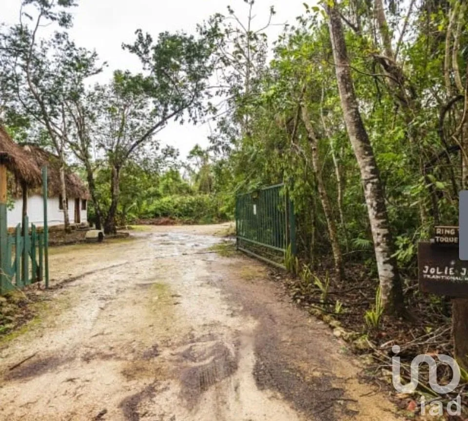 Terreno en Venta en Puerto Morelos, Puerto Morelos, Quintana Roo | NEX-181663 | iad México | Foto 12 de 13