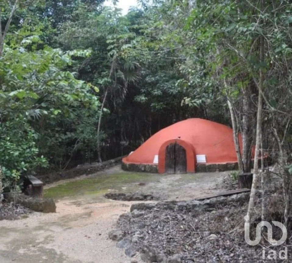 Terreno en Venta en Puerto Morelos, Puerto Morelos, Quintana Roo | NEX-181663 | iad México | Foto 3 de 13