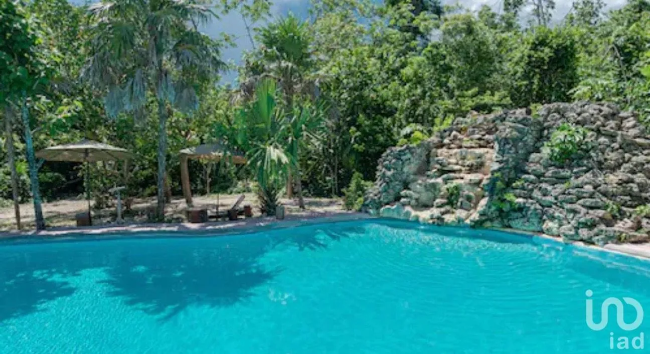 Terreno en Venta en Puerto Morelos, Puerto Morelos, Quintana Roo | NEX-181663 | iad México | Foto 6 de 13