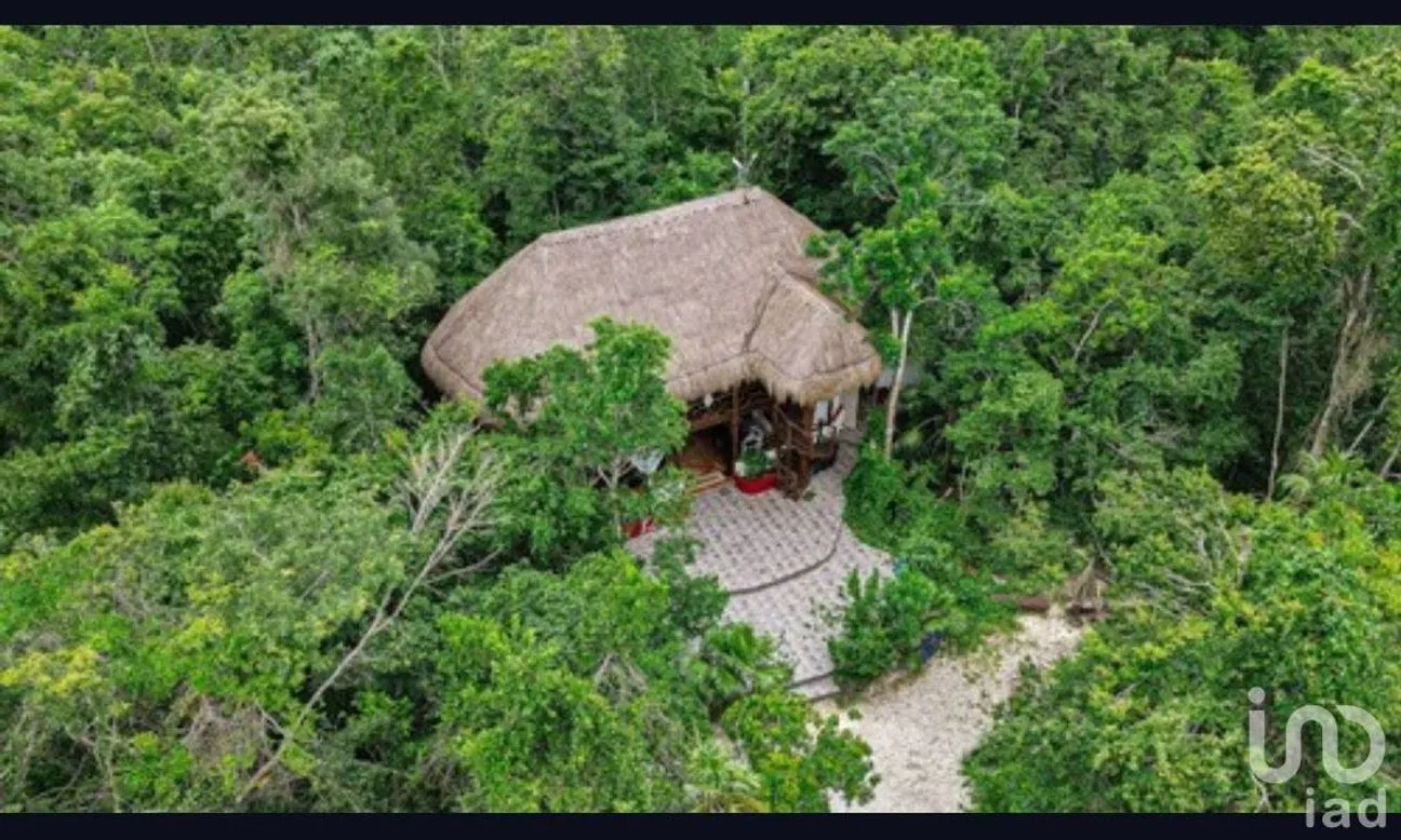 Terreno en Venta en Puerto Morelos, Puerto Morelos, Quintana Roo | NEX-181663 | iad México | Foto 7 de 13