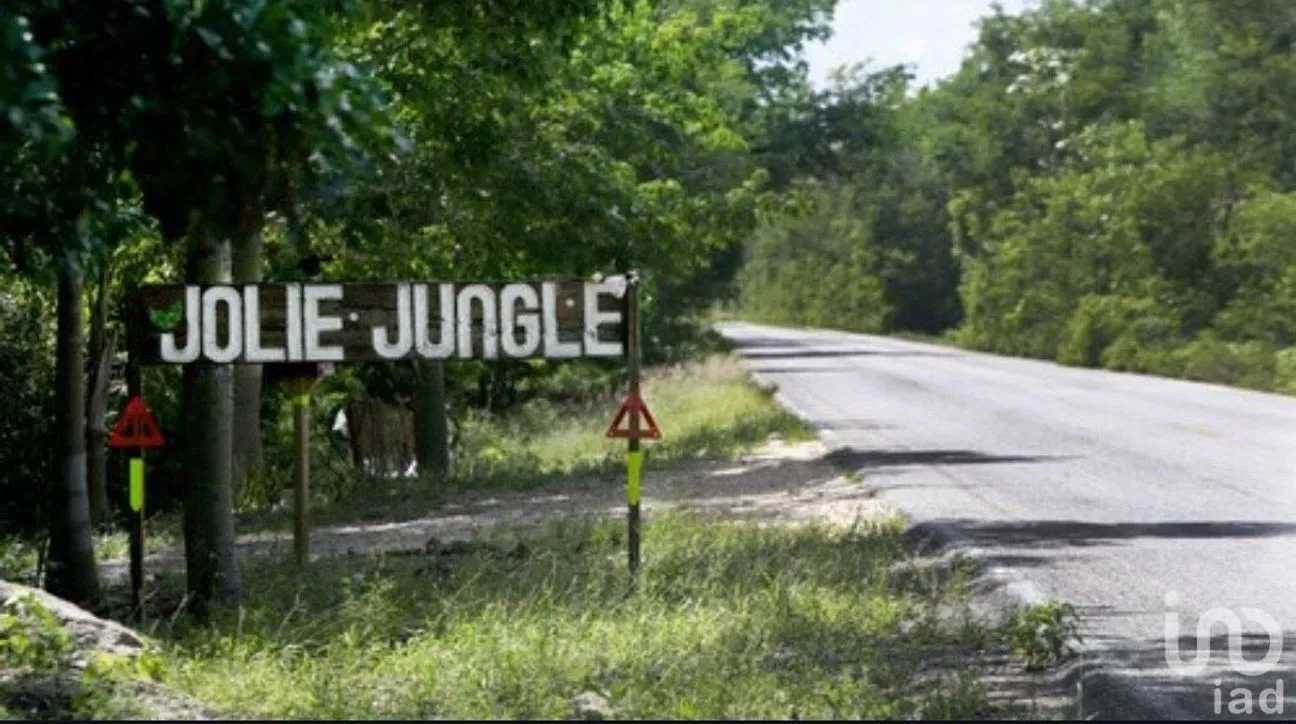 Terreno en Venta en Puerto Morelos, Puerto Morelos, Quintana Roo | NEX-181663 | iad México | Foto 9 de 13