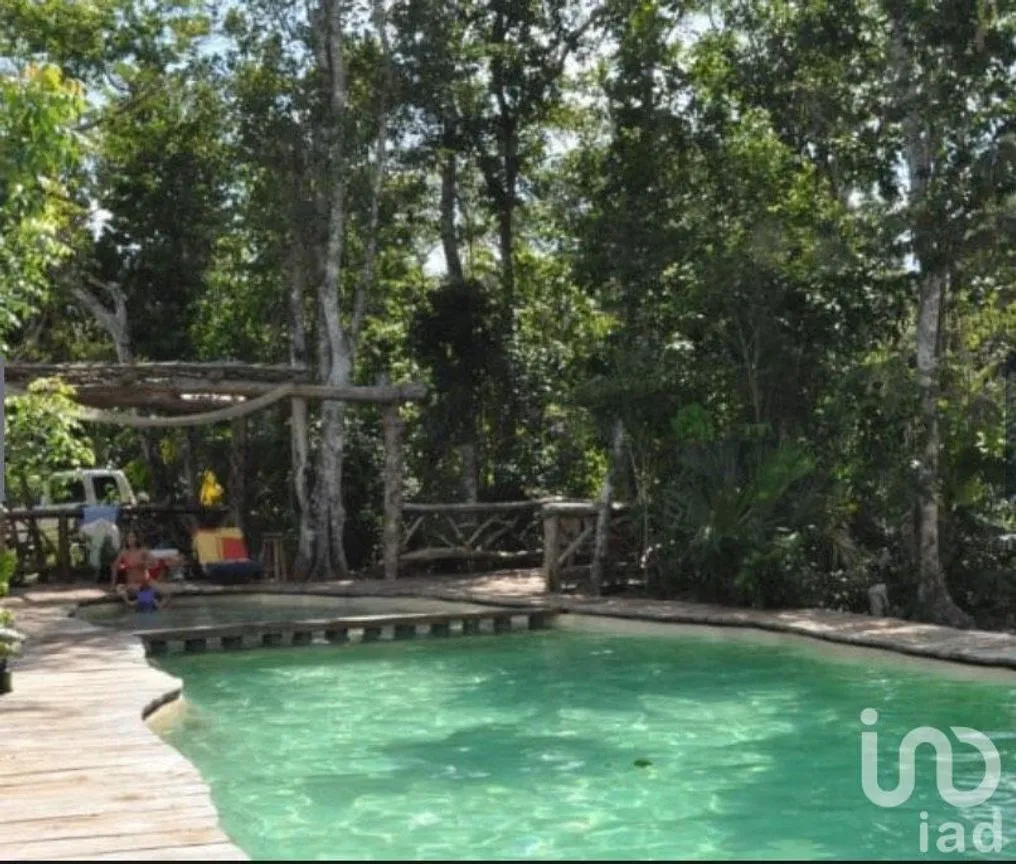 Terreno en Venta en Puerto Morelos, Puerto Morelos, Quintana Roo | NEX-181663 | iad México | Foto 10 de 13