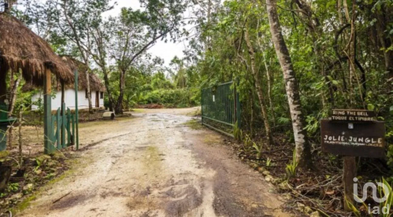 Terreno en Venta en Puerto Morelos, Puerto Morelos, Quintana Roo | NEX-181663 | iad México | Foto 13 de 13