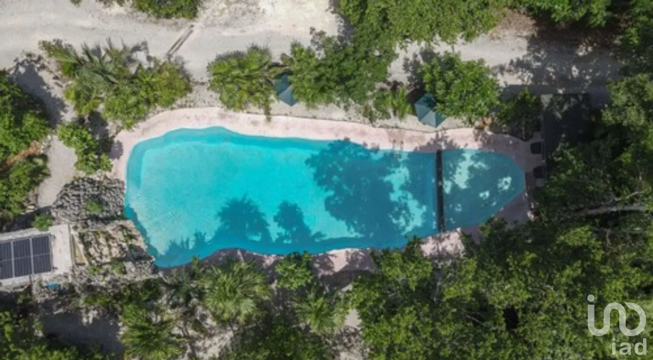 Terreno en Venta en Puerto Morelos, Puerto Morelos, Quintana Roo | NEX-181663 | iad México | Foto 8 de 13