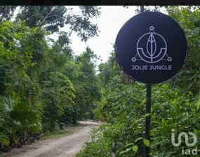 NEX-181663 - Terreno en Venta en Puerto Morelos, CP 77580, Quintana Roo.