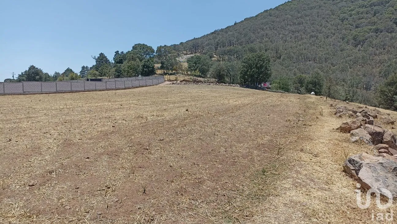 Terreno en Venta en San Juan Dehedó, Amealco de Bonfil, Querétaro | NEX-213740 | iad México | Foto 3 de 6