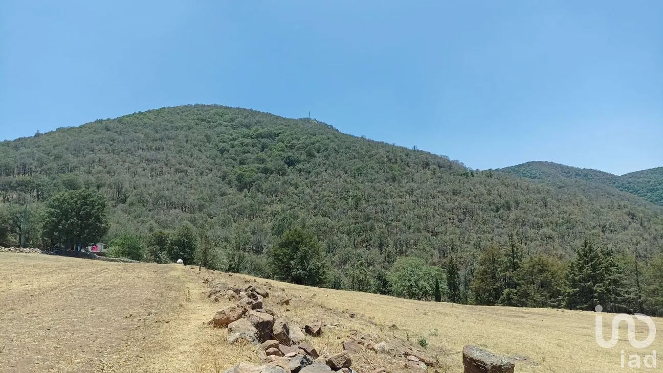 Terreno en Venta en San Juan Dehedó, Amealco de Bonfil, Querétaro | NEX-213740 | iad México | Foto 5 de 6