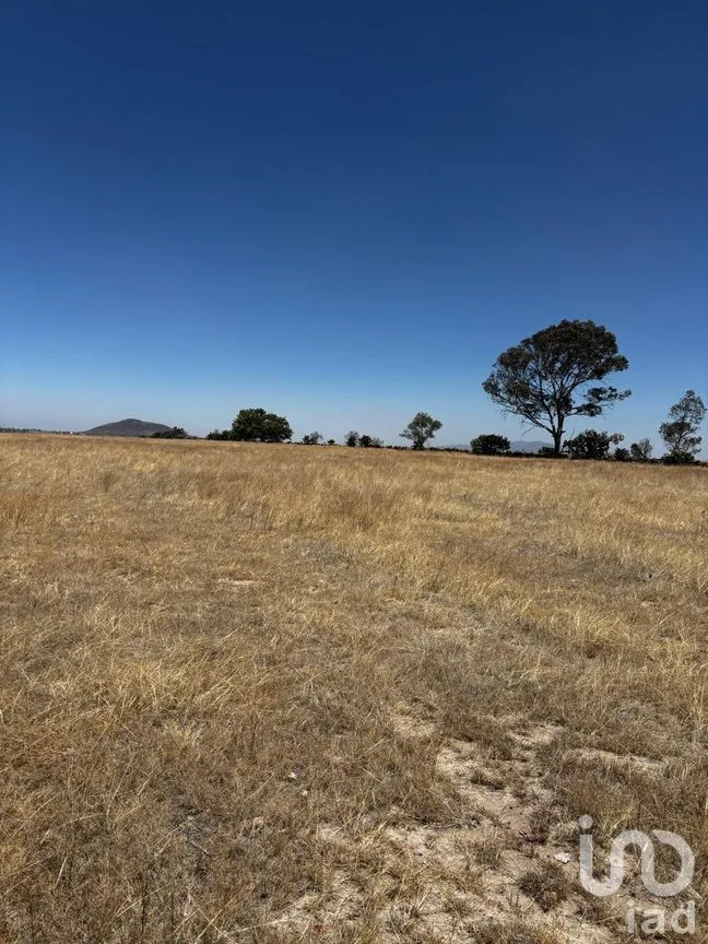 Terreno en Venta en Higuerillas, Aculco, México | NEX-246749 | iad México | Foto 3 de 11