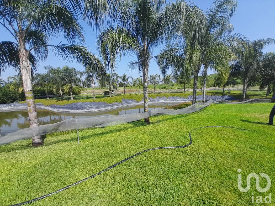 Terreno en Venta en Tequesquitengo, Jojutla, Morelos | NEX-248873 | iad México | Foto 3 de 9