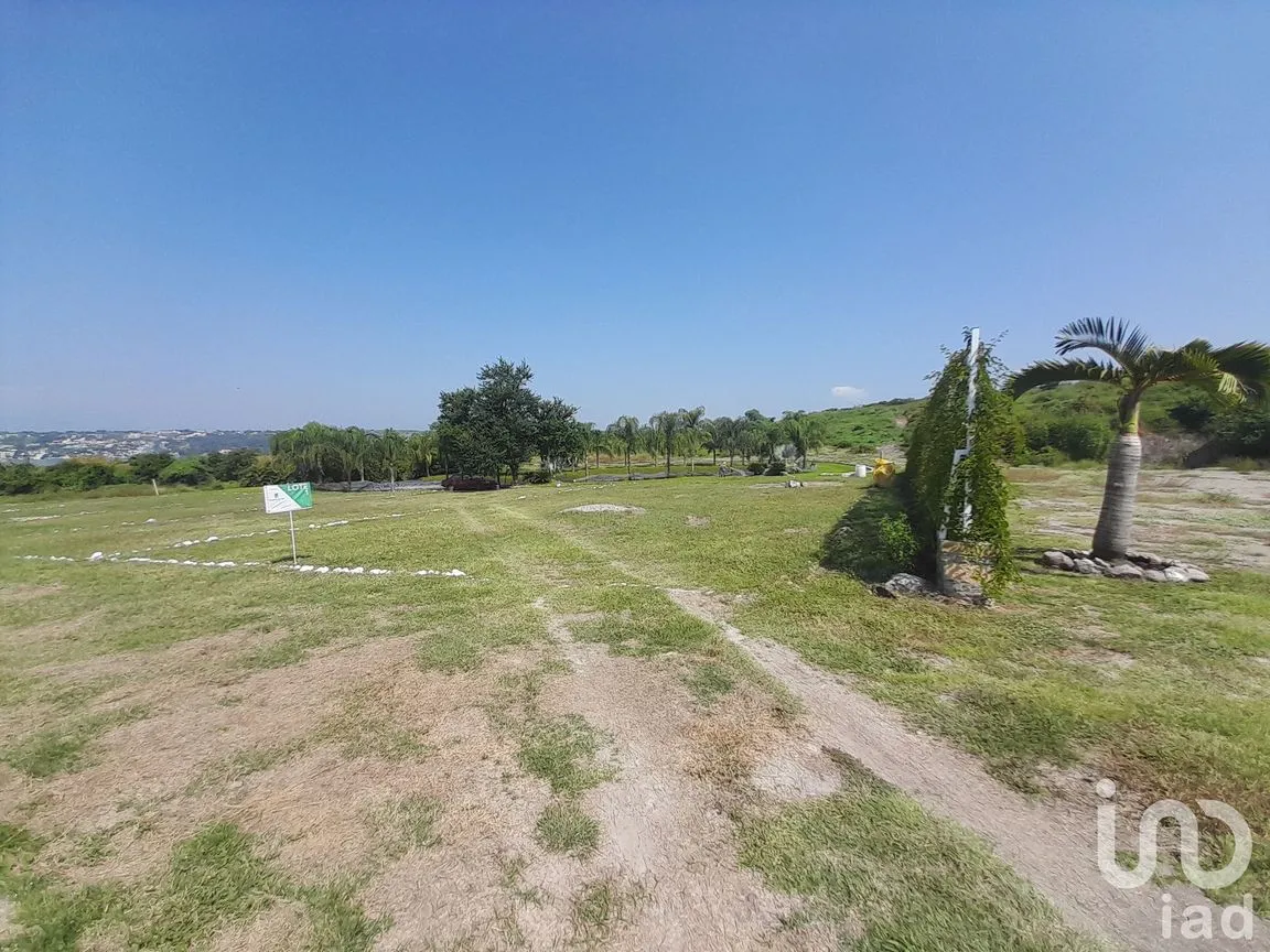Terreno en Venta en Tequesquitengo, Jojutla, Morelos | NEX-248873 | iad México | Foto 7 de 9