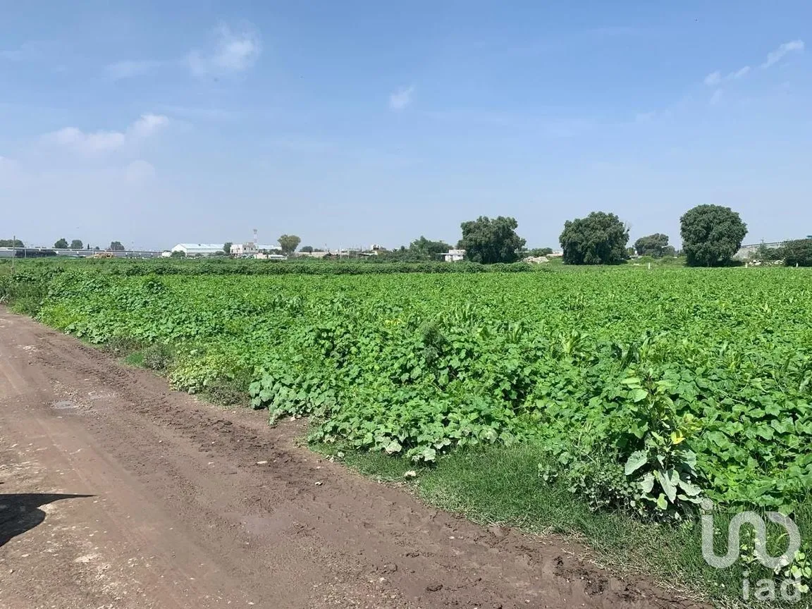 Terreno en Venta en San Antonio Xahuento, Tultepec, México | NEX-254297 | iad México | Foto 5 de 6