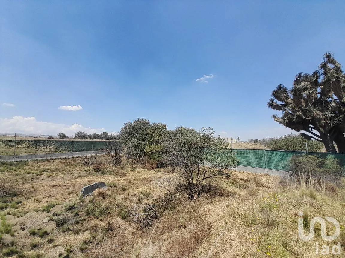 Terreno en Venta en Calimaya de Díaz González, Calimaya, México | NEX-292509 | iad México | Foto 8 de 14