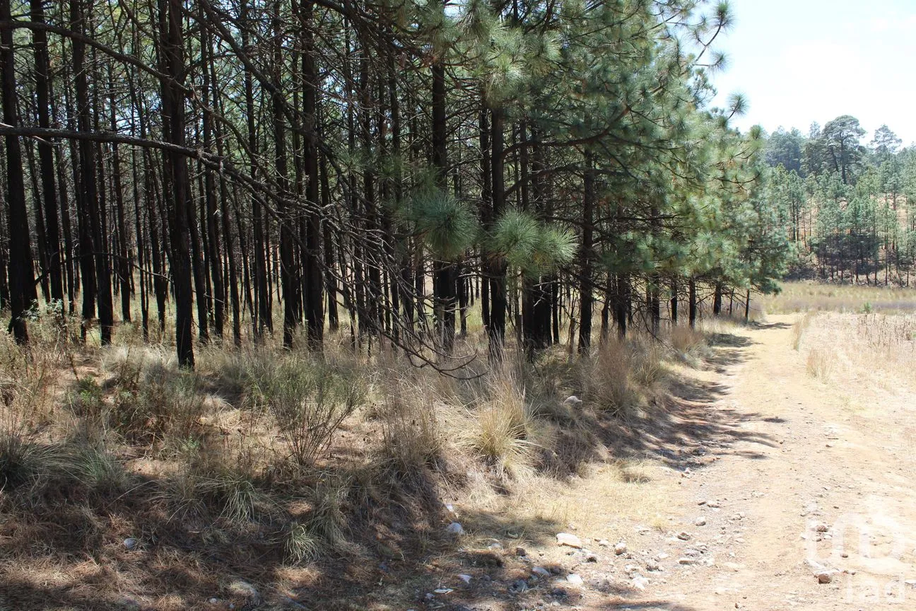 Terreno en Venta en Monte de Peña, Villa del Carbón, México | NEX-168260 | iad México | Foto 15 de 17