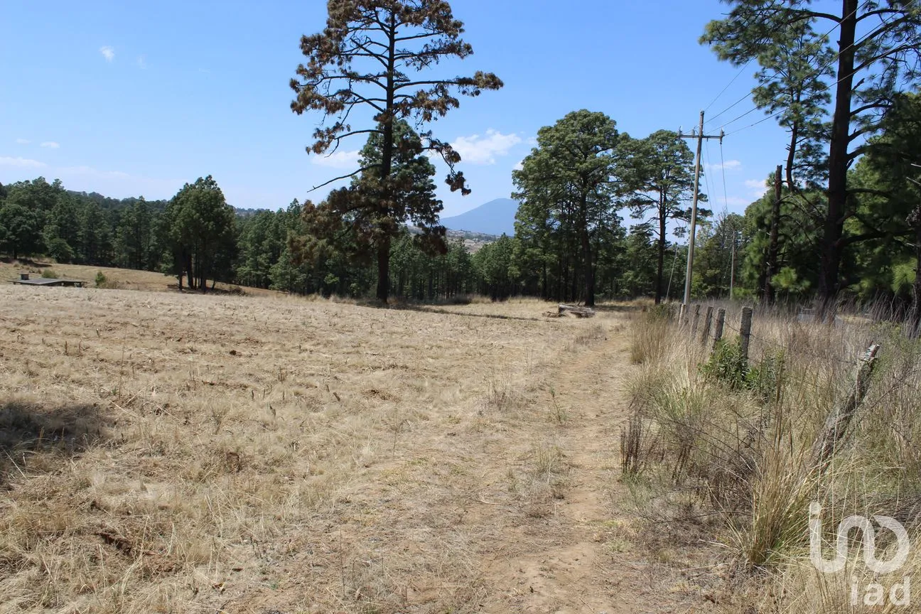 Terreno en Venta en Monte de Peña, Villa del Carbón, México | NEX-168260 | iad México | Foto 16 de 17