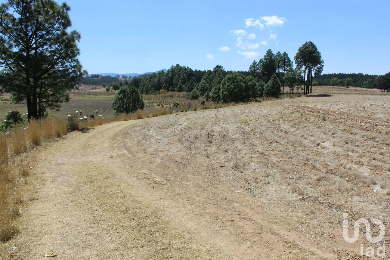 Terreno en Venta en Monte de Peña, Villa del Carbón, México | NEX-168260 | iad México | Foto 4 de 17