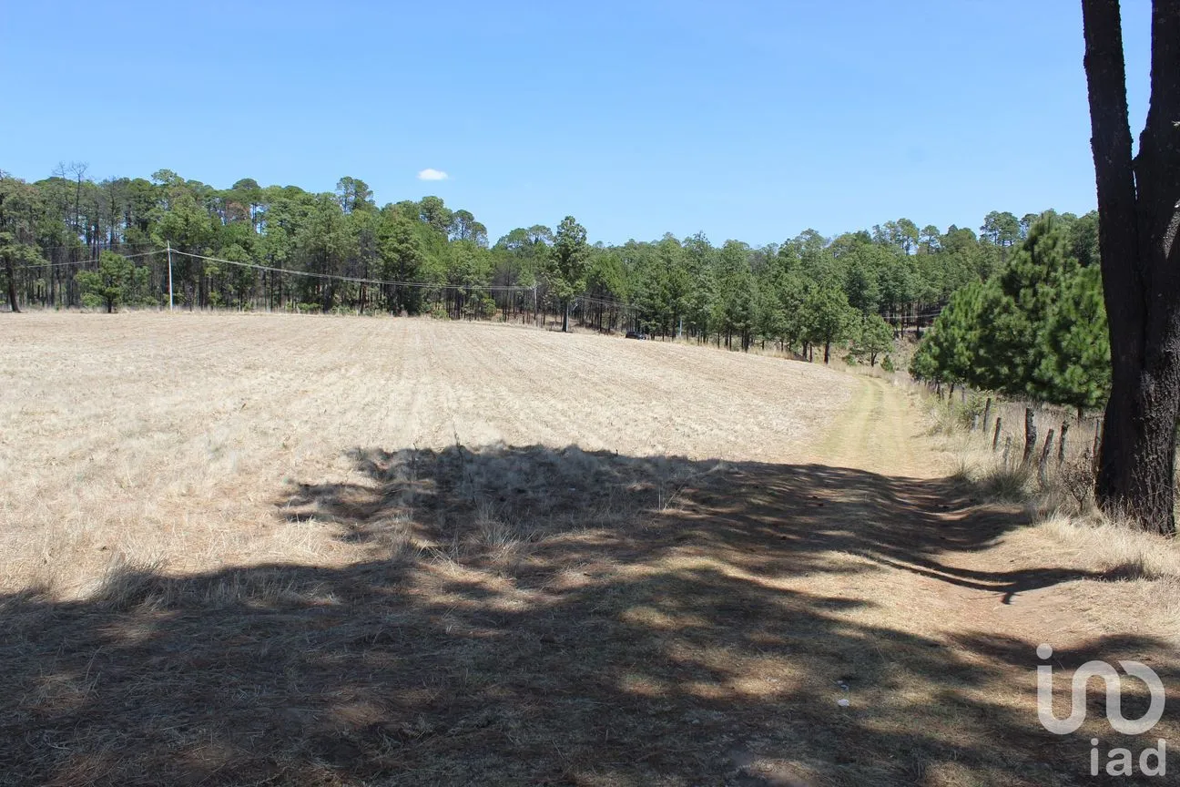 Terreno en Venta en Monte de Peña, Villa del Carbón, México | NEX-168260 | iad México | Foto 5 de 17