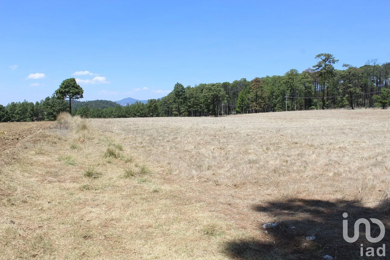 Terreno en Venta en Monte de Peña, Villa del Carbón, México | NEX-168260 | iad México | Foto 7 de 17