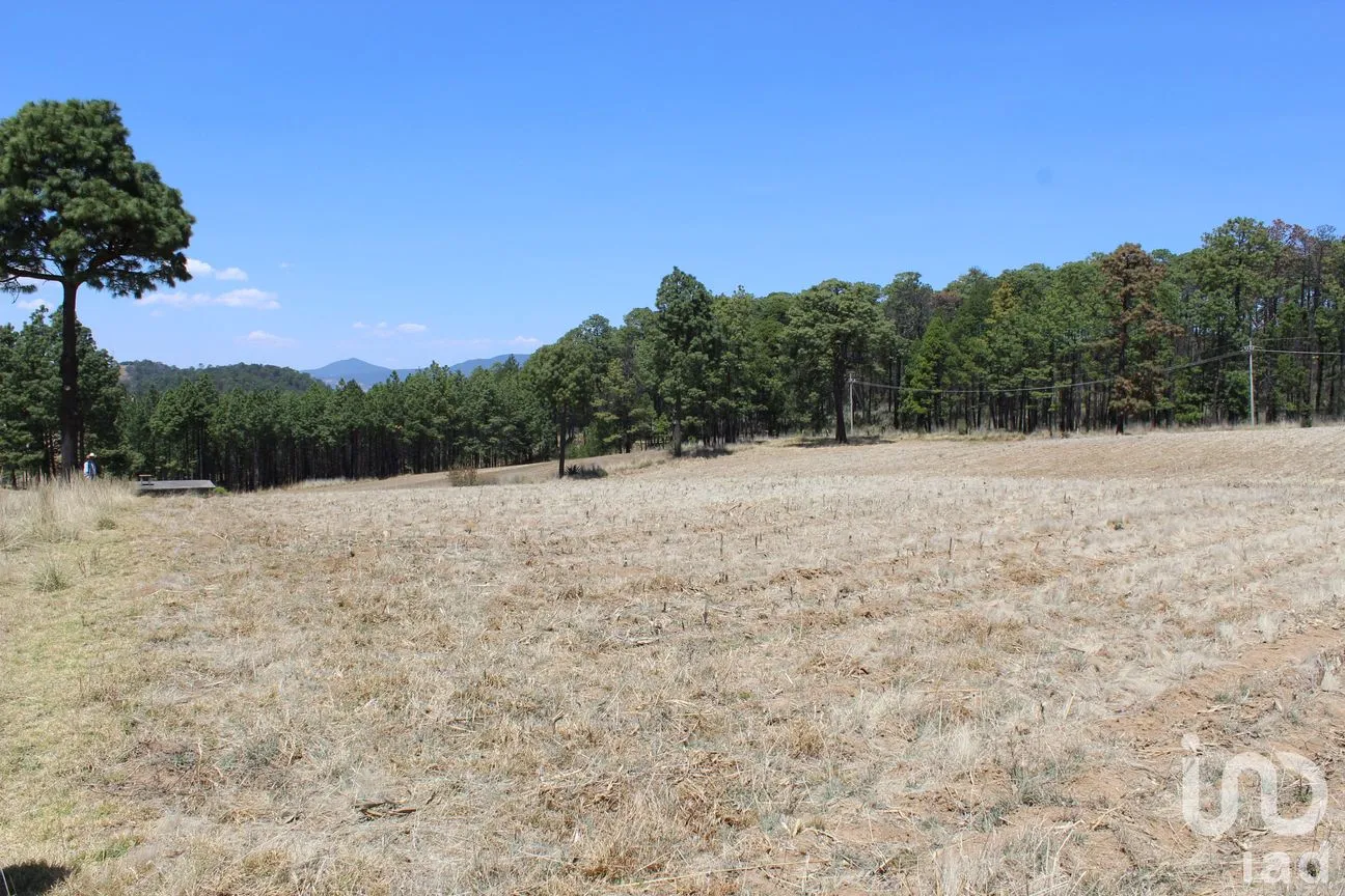 Terreno en Venta en Monte de Peña, Villa del Carbón, México | NEX-168260 | iad México | Foto 8 de 17