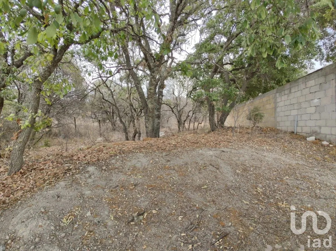 Terreno en Venta en Campestre Haras, Amozoc, Puebla | NEX-205091 | iad México | Foto 5 de 8