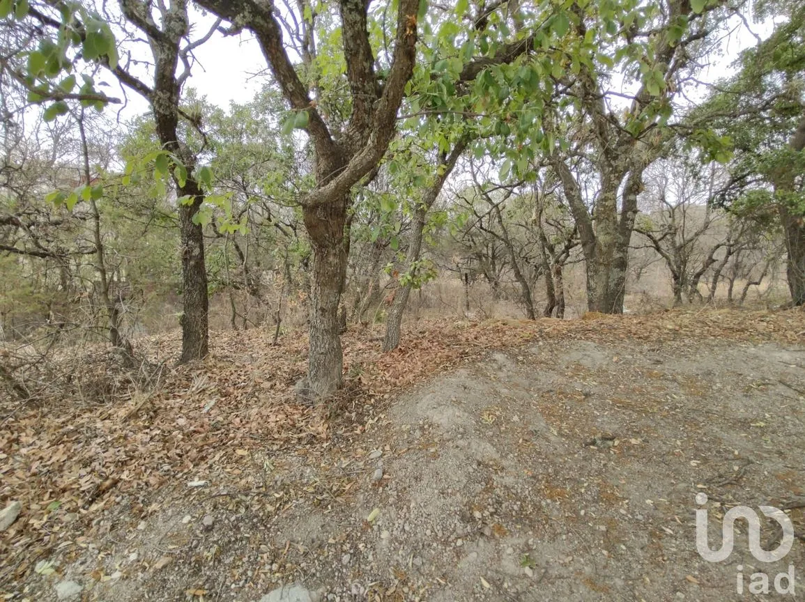 Terreno en Venta en Campestre Haras, Amozoc, Puebla | NEX-205091 | iad México | Foto 6 de 8