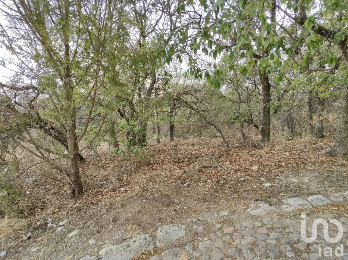 Terreno en Venta en Campestre Haras, Amozoc, Puebla | NEX-205091 | iad México | Foto 7 de 8