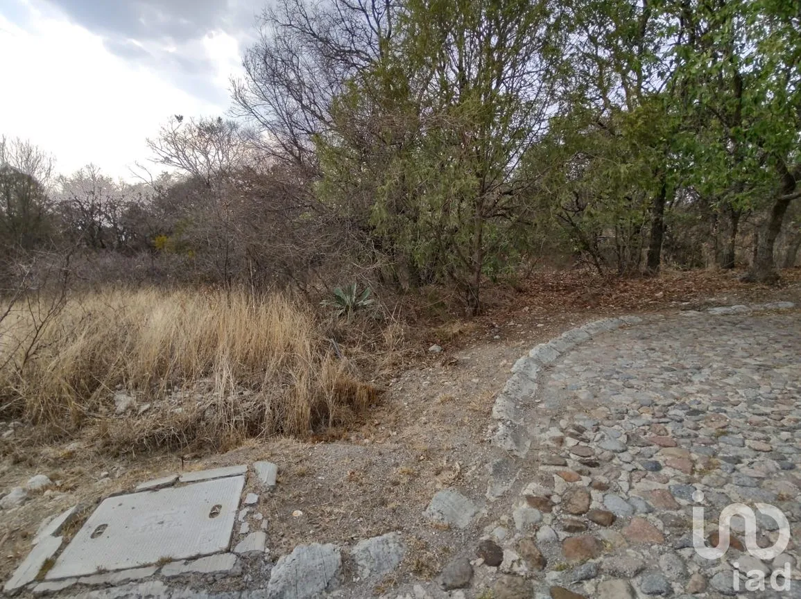 Terreno en Venta en Campestre Haras, Amozoc, Puebla | NEX-205091 | iad México | Foto 8 de 8
