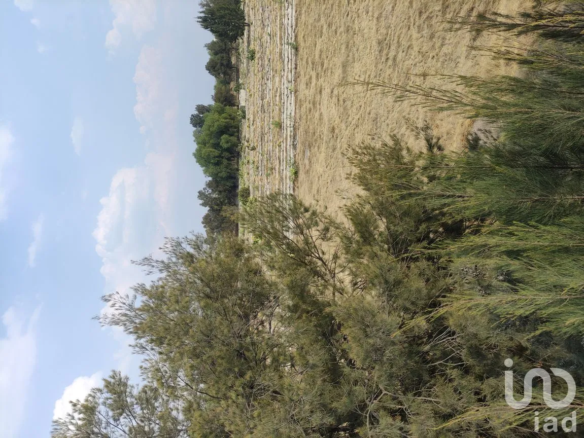Terreno en Venta en Hueyotenco, Tecámac, México | NEX-291308 | iad México | Foto 13 de 15