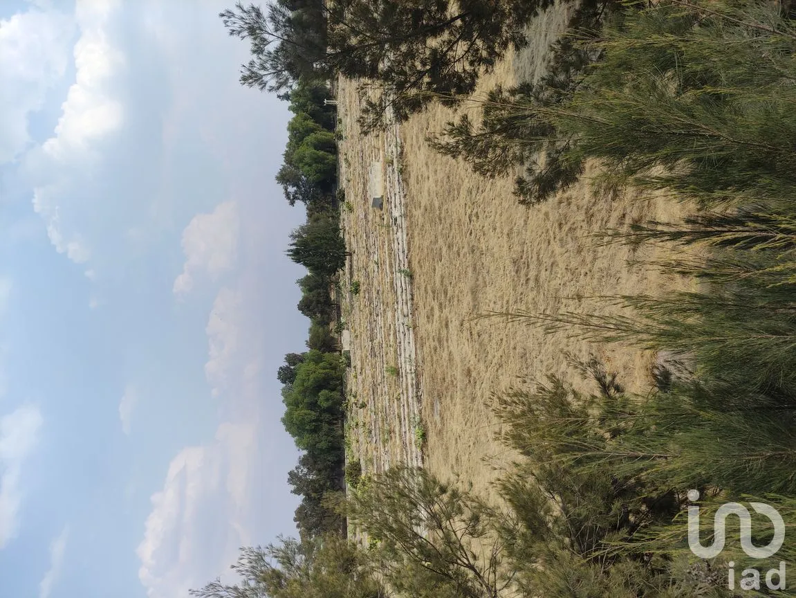 Terreno en Venta en Hueyotenco, Tecámac, México | NEX-291308 | iad México | Foto 14 de 15