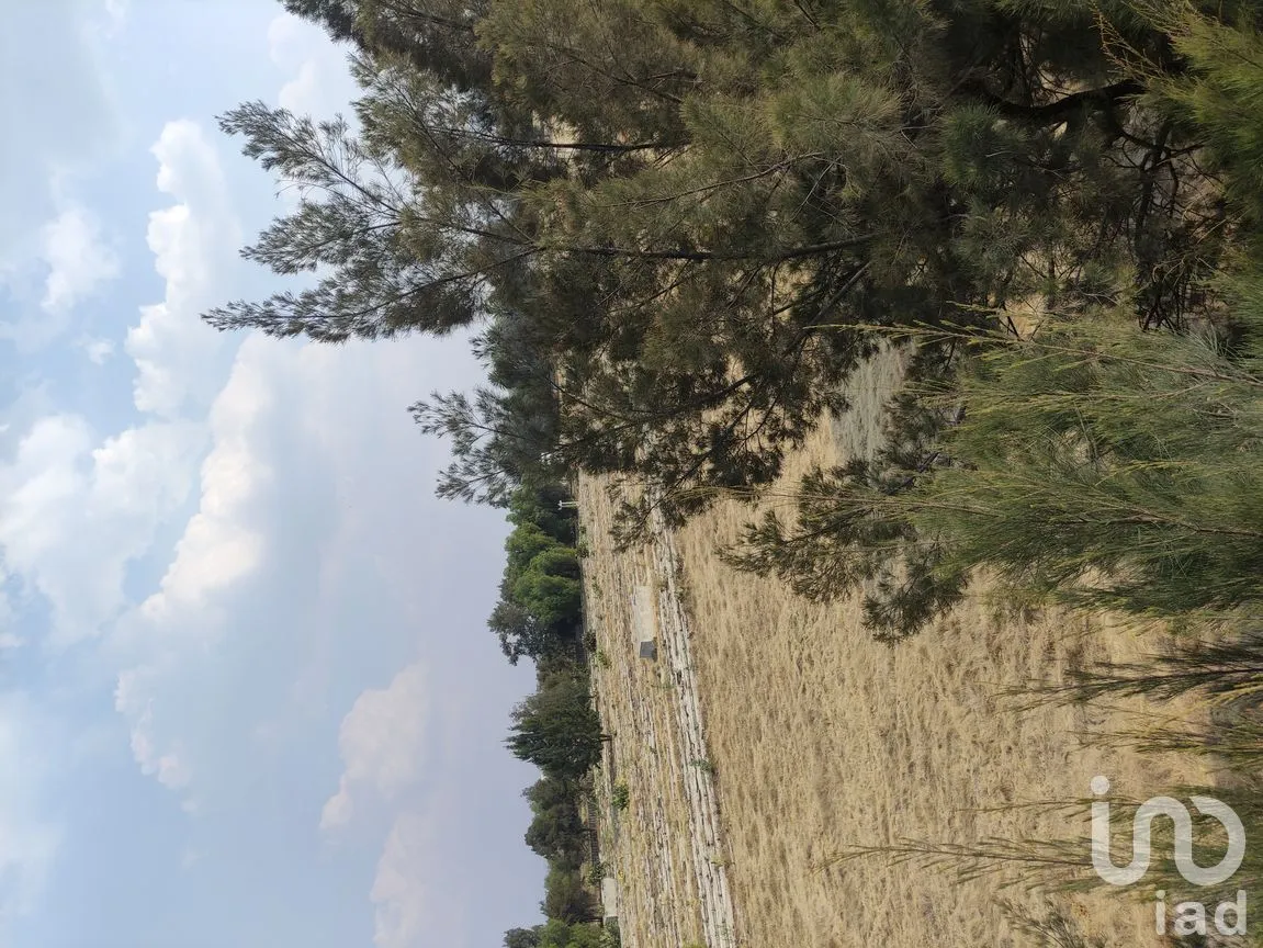 Terreno en Venta en Hueyotenco, Tecámac, México | NEX-291308 | iad México | Foto 15 de 15