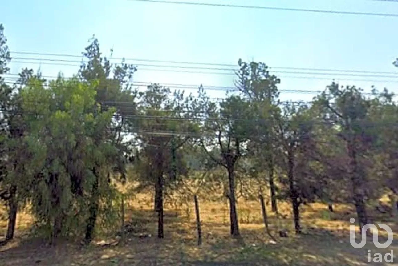 Terreno en Venta en Hueyotenco, Tecámac, México | NEX-291308 | iad México | Foto 1 de 15