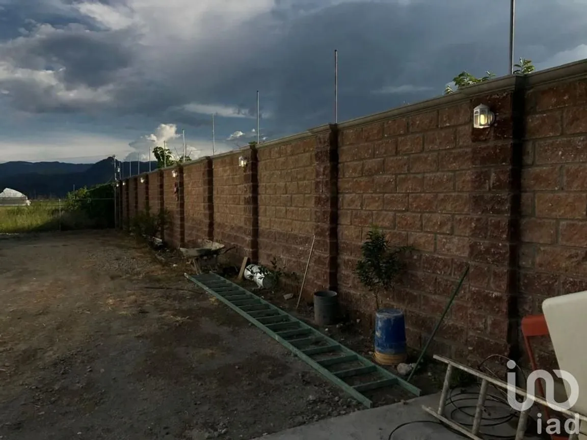 Casa en Venta en Pilcaya, Pilcaya, Guerrero | NEX-235699 | iad México | Foto 13 de 16