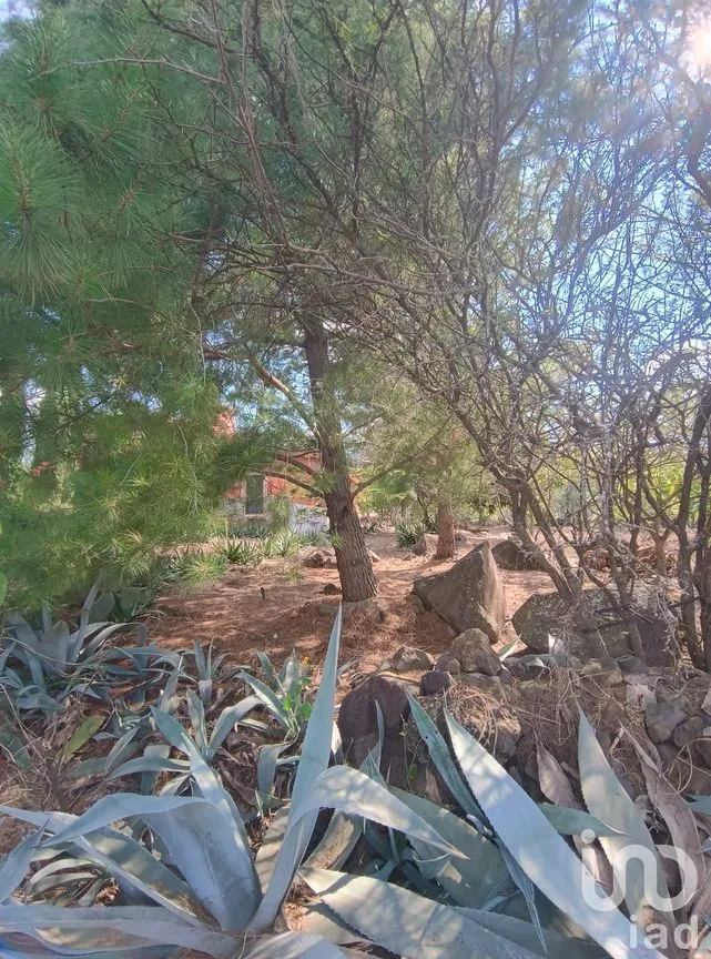 Terreno en Venta en Jacona de Plancarte Centro, Jacona, Michoacán de Ocampo | NEX-237516 | iad México | Foto 4 de 14