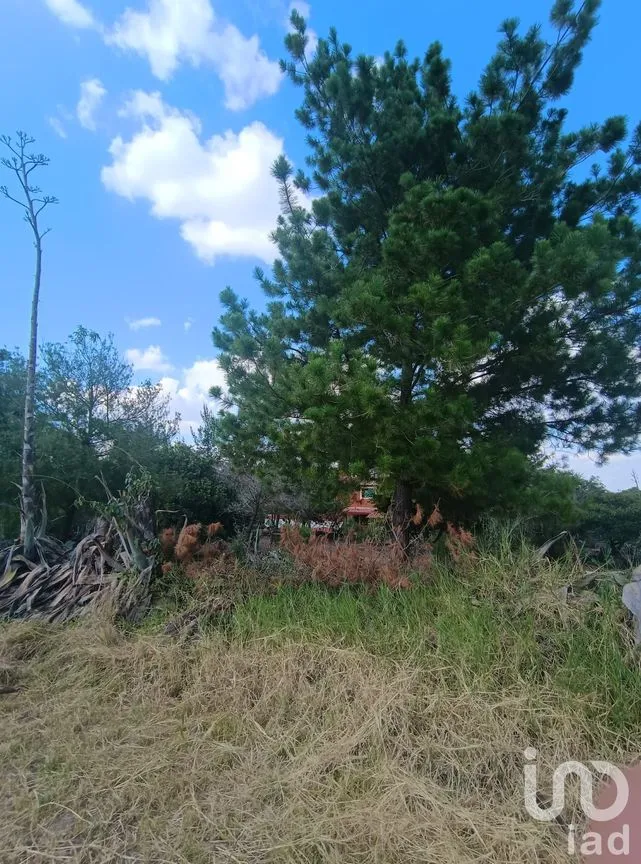 Terreno en Venta en Jacona de Plancarte Centro, Jacona, Michoacán de Ocampo | NEX-237516 | iad México | Foto 1 de 14