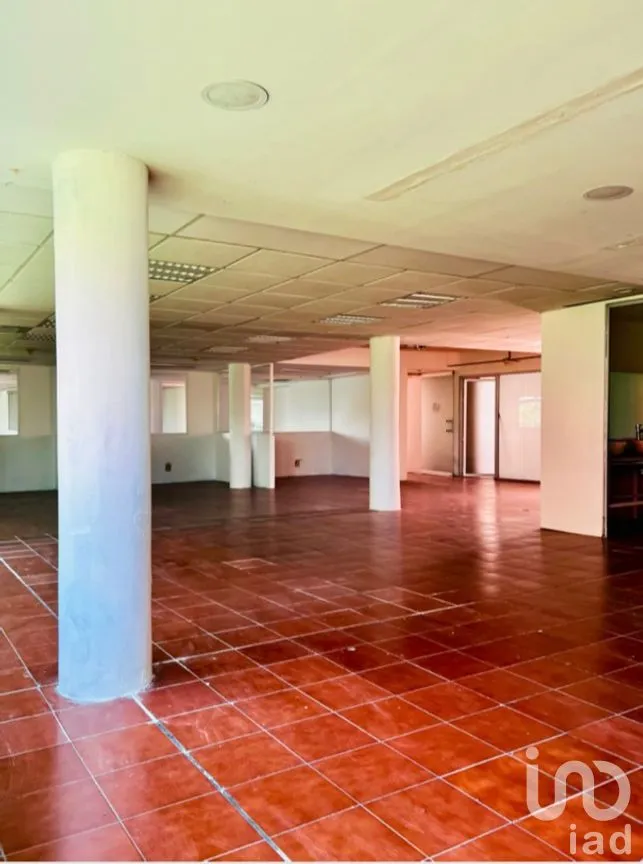 Oficina en Renta en Juárez, Cuauhtémoc, Ciudad de México | NEX-289462 | iad México | Foto 6 de 31