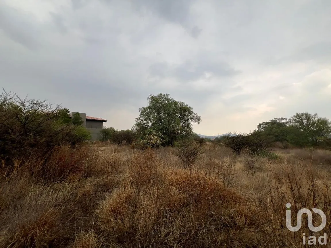Terreno en Venta en Caltengo, Tepeji del Río de Ocampo, Hidalgo | NEX-293645 | iad México | Foto 3 de 10