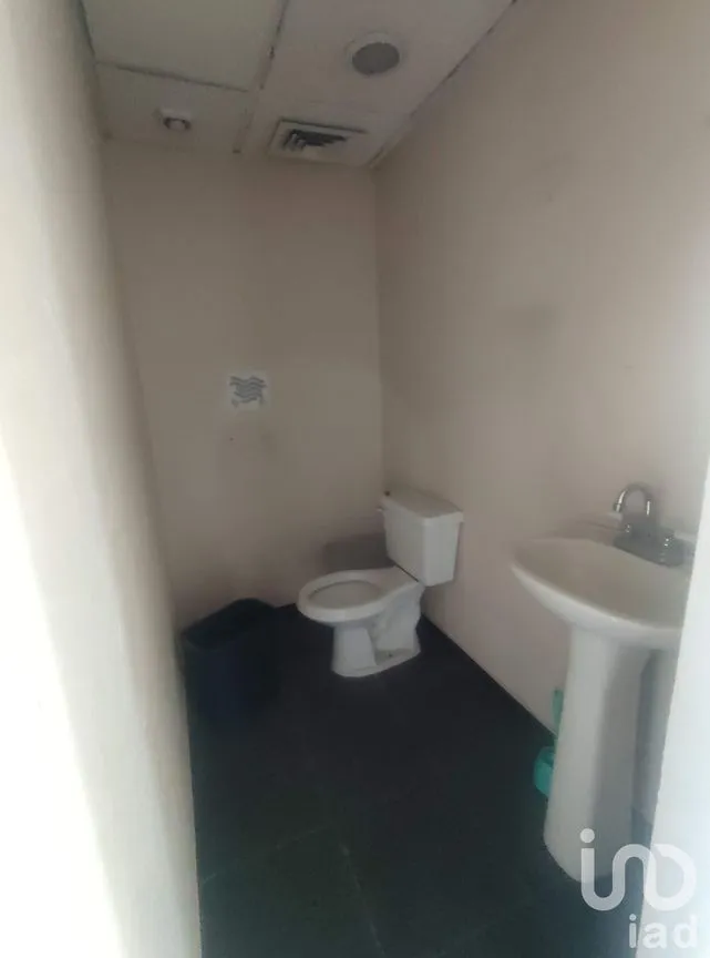 Oficina en Renta en Cuauhtémoc, Cuauhtémoc, Ciudad de México | NEX-176953 | iad México | Foto 14 de 15