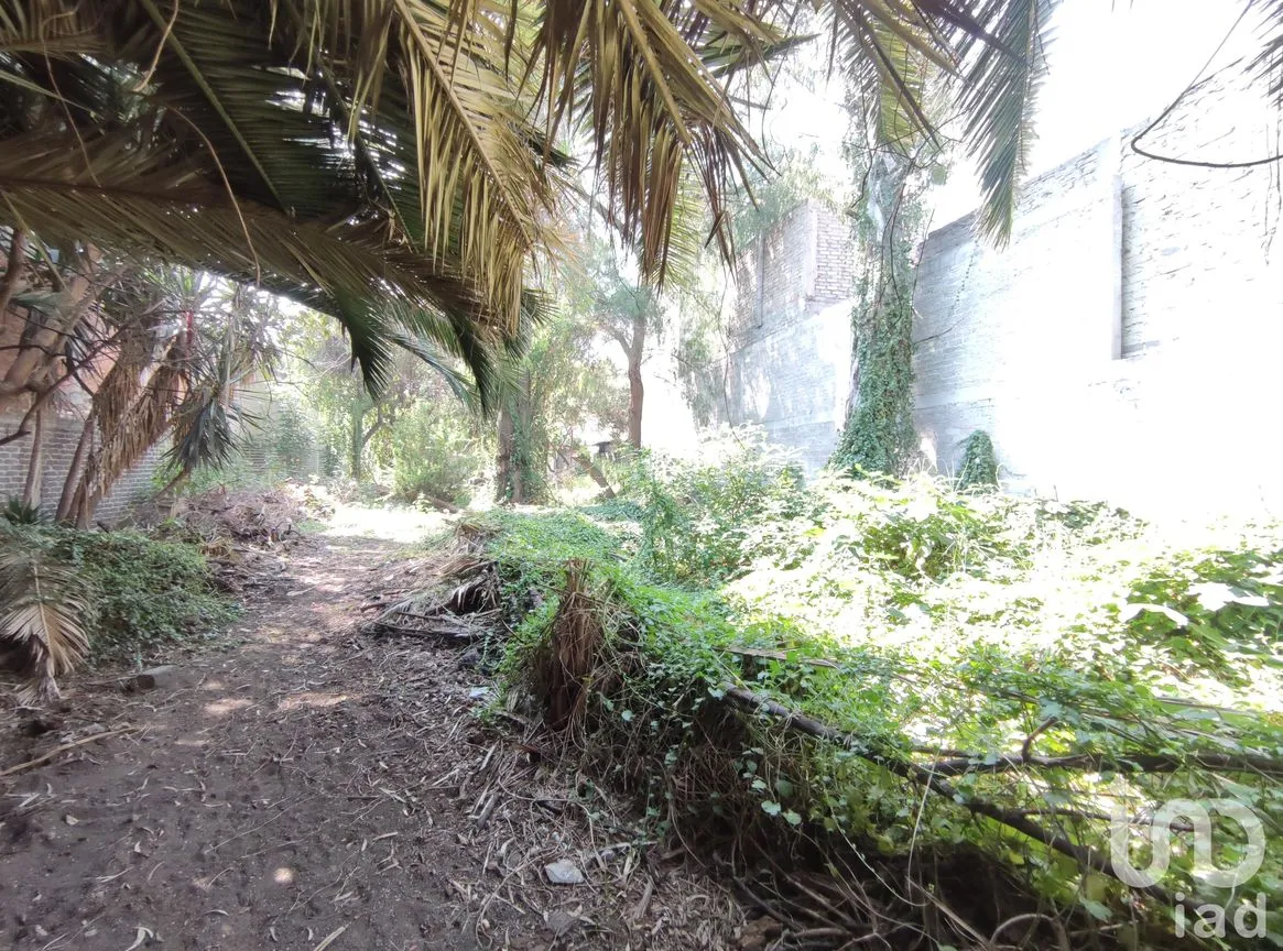 Terreno en Venta en Zapotla, Iztacalco, Ciudad de México | NEX-239017 | iad México | Foto 4 de 9