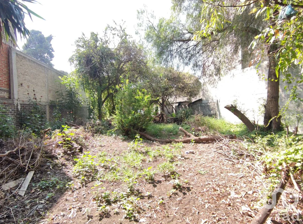 Terreno en Venta en Zapotla, Iztacalco, Ciudad de México | NEX-239017 | iad México | Foto 6 de 9