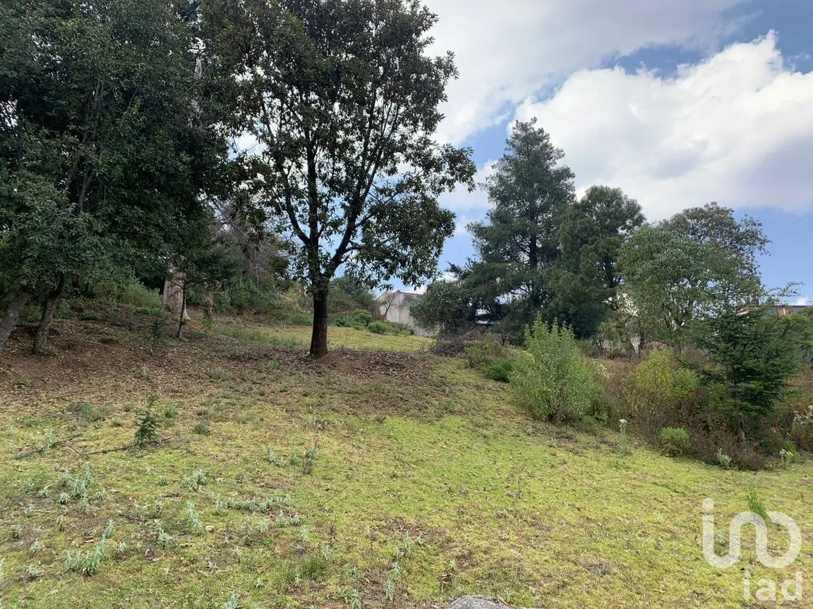 Terreno en Venta en Santa María Mazatla, Jilotzingo, México | NEX-254919 | iad México | Foto 6 de 10