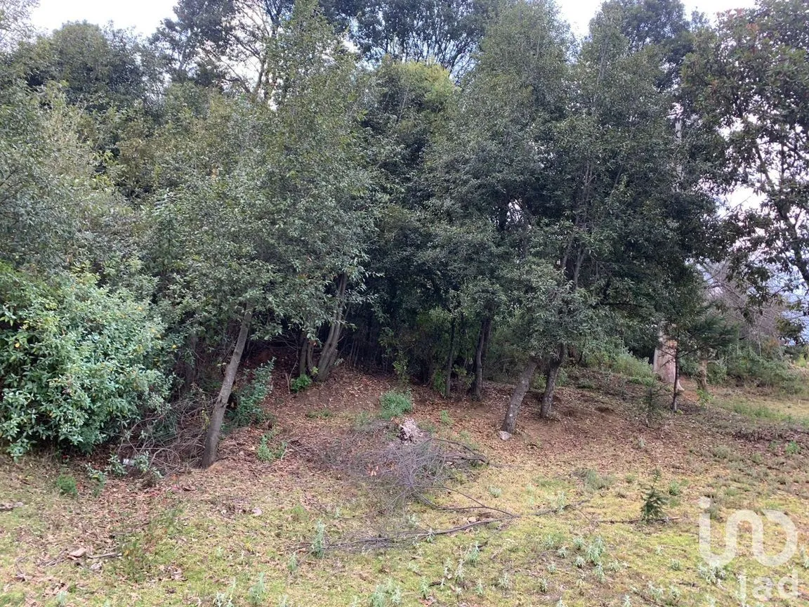 Terreno en Venta en Santa María Mazatla, Jilotzingo, México | NEX-254919 | iad México | Foto 7 de 10