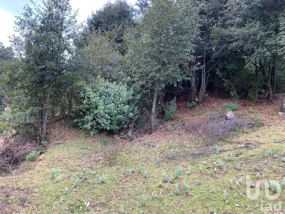 Terreno en Venta en Santa María Mazatla, Jilotzingo, México | NEX-254919 | iad México | Foto 8 de 10