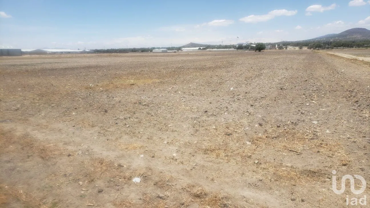 Terreno en Venta en Nueva Tlaxiaca, San Agustín Tlaxiaca, Hidalgo | NEX-255917 | iad México | Foto 6 de 6