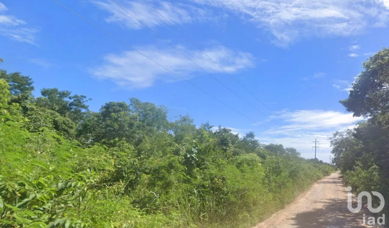 Terreno en Venta en Nuevo Quintana Roo, Lázaro Cárdenas, Quintana Roo | NEX-262447 | iad México | Foto 11 de 11