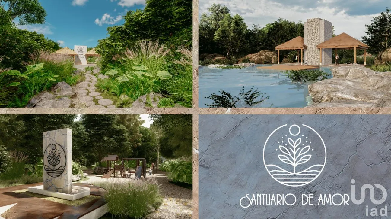 Terreno en Venta en Nuevo Quintana Roo, Lázaro Cárdenas, Quintana Roo | NEX-262447 | iad México | Foto 6 de 11